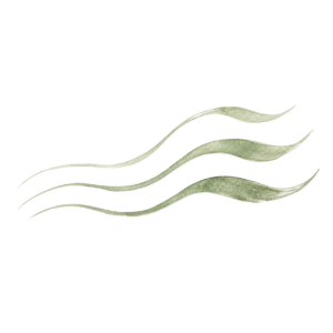 Susurro 4