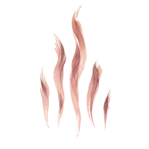 Susurro 5
